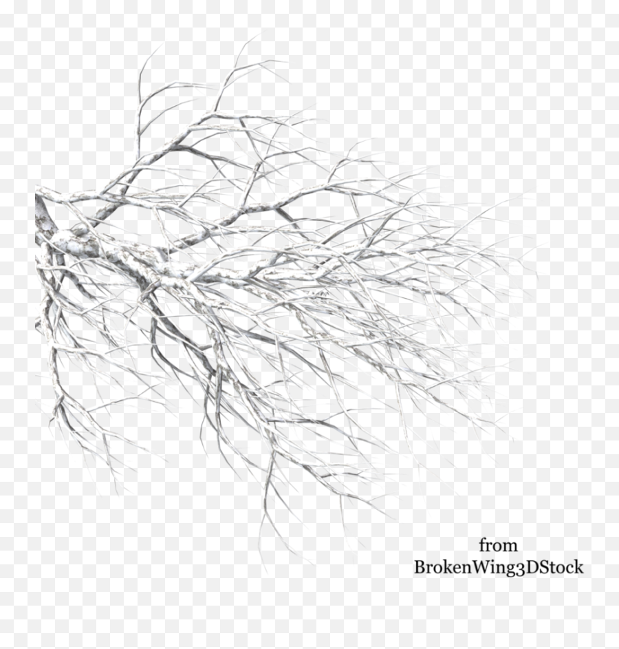 Winter Branch Transparent U0026 Png Clipart 2759289 - Png White Tree Branches Png Emoji,Winter Tree Clipart