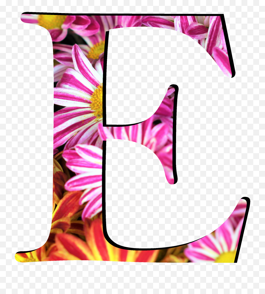Flower Pattern Letters E - Flower Pattern Letter E Emoji,Letters Png