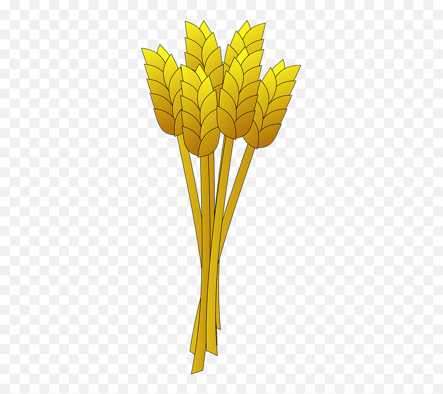 Wheat Yellow Stalk - Free Vector Graphic On Pixabay Emoji,Wheat Transparent Background