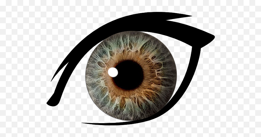 Best Brown Eyes Clipart 18289 - Clipartioncom Transparent Background Hazel Eye Clipart Emoji,Eyes Clipart