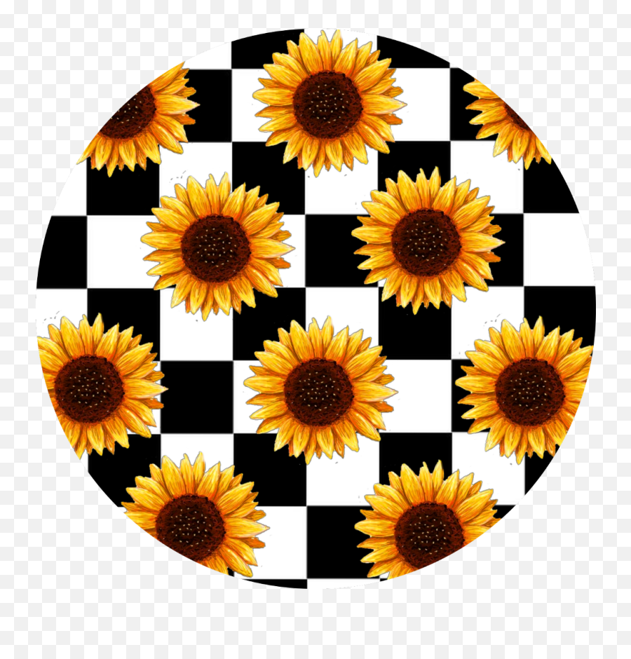 Download Sunflowers Sticker - Aesthetic Sunflower Png Image Sunflower Aesthetic Emoji,Sunflower Png