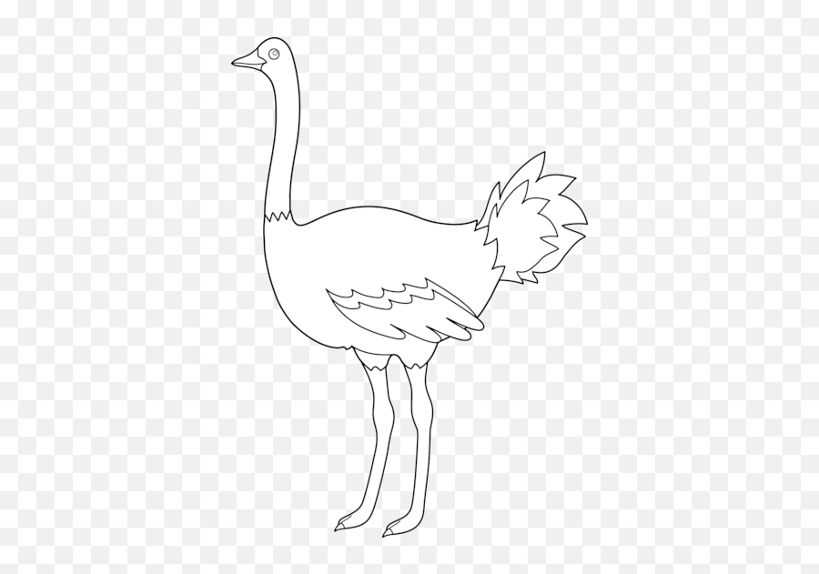 Free Ostrich Cliparts Download Free - Ostrich Images Clip Art Black And White Emoji,Ostrich Clipart