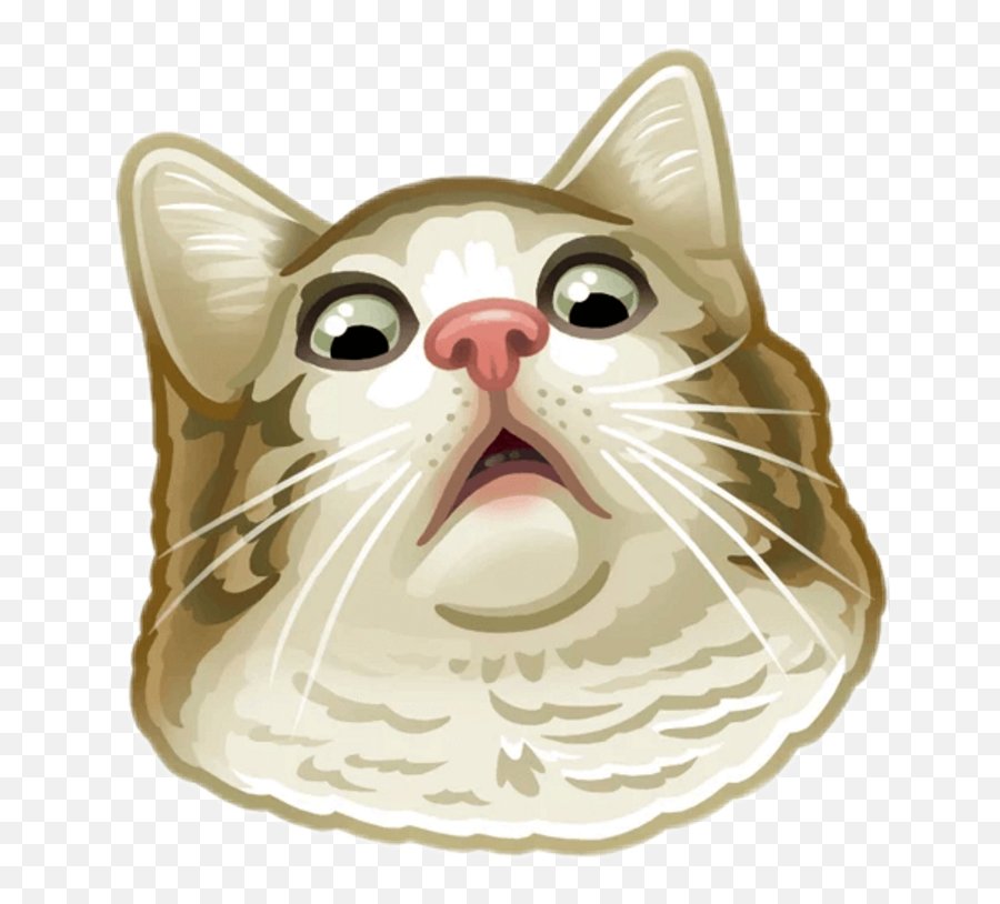 Wtf Face Png - Telegram Stickers Png Cat Emoji,Wtf Png