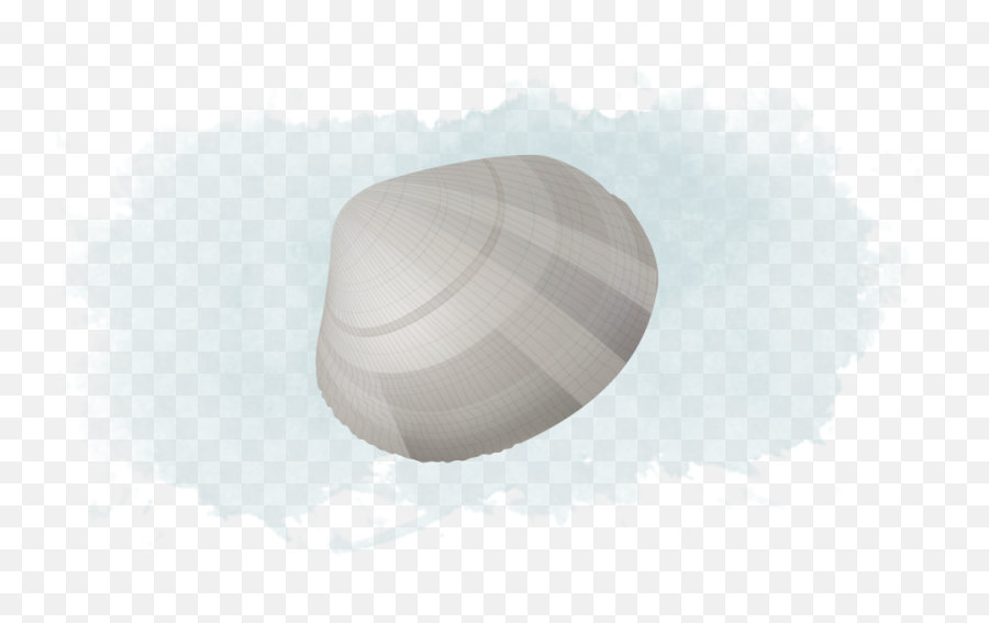 Download Native Littleneck Clam - Baltic Clam Full Size Art Emoji,Clam Png