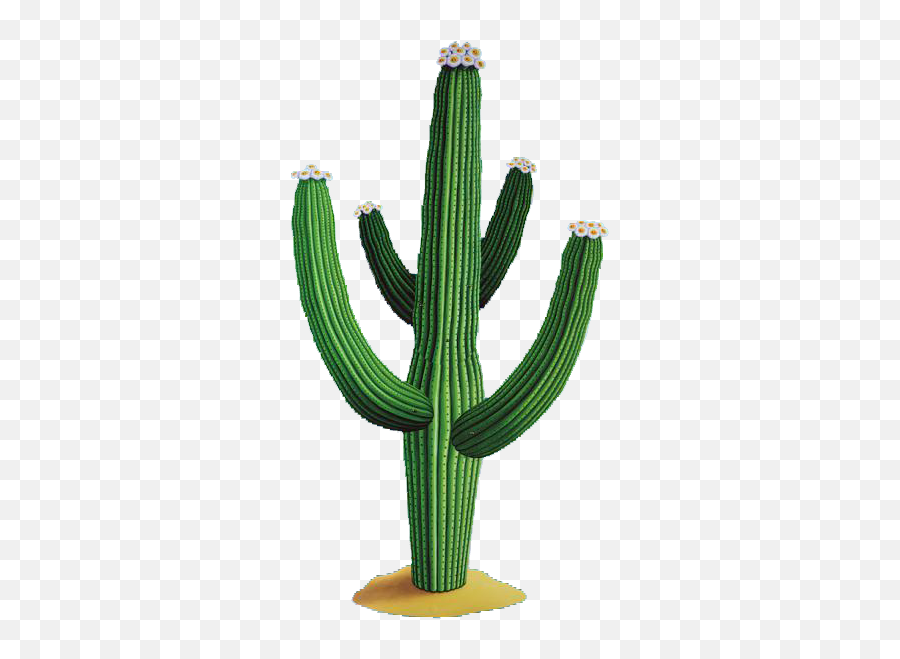 Cactus Free Png Download Vector - Cactus Jointed Cutout Emoji,Saguaro Clipart