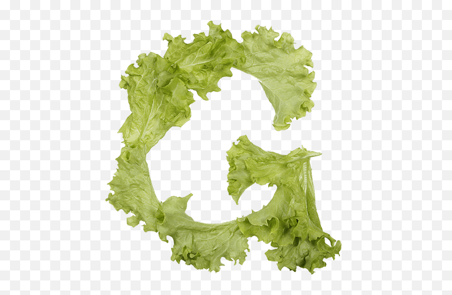 Salad Font Healthy Food Typography Diet Emoji,Salad Transparent Background