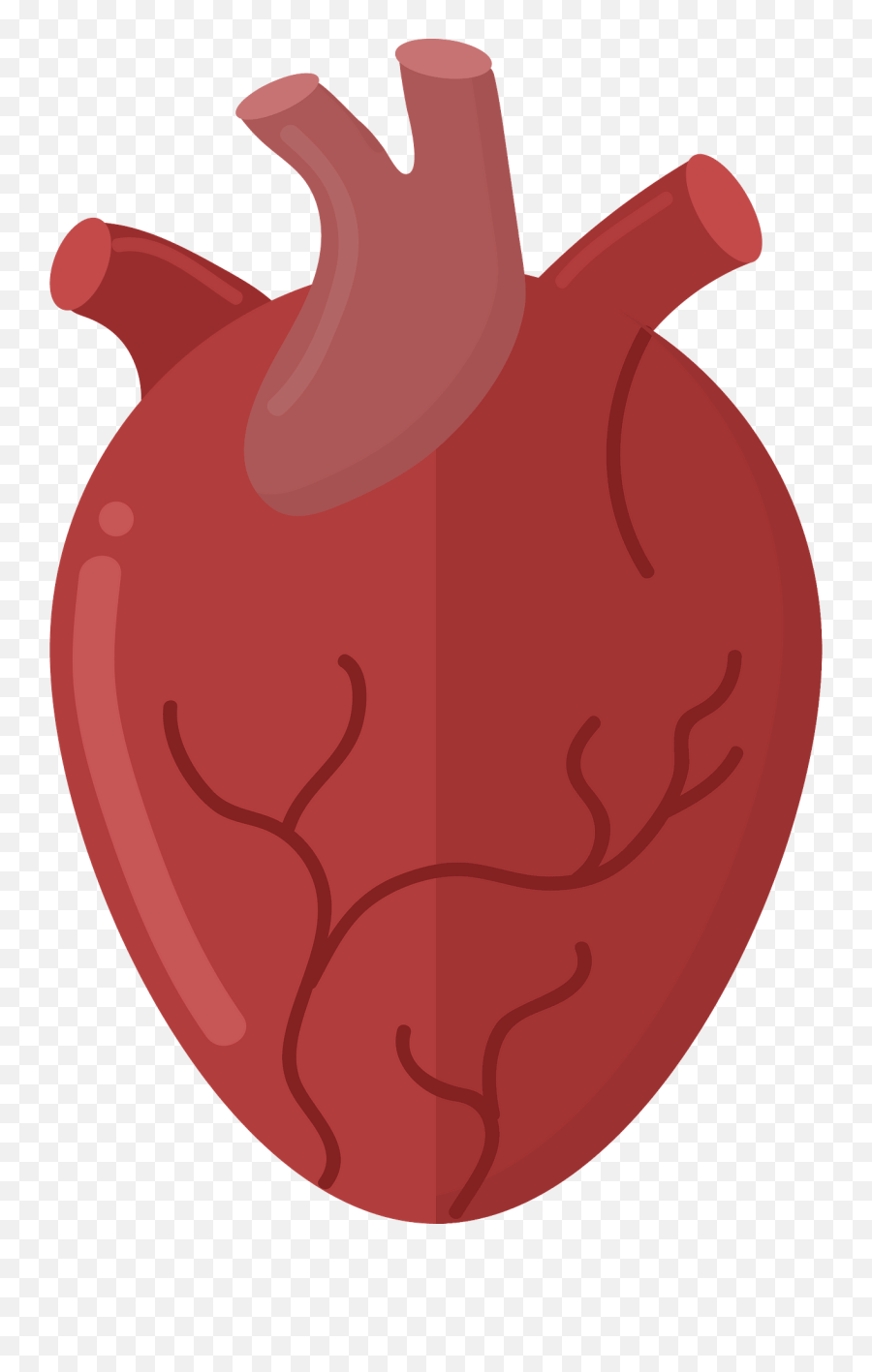 Human Heart Clipart - Lythraceae Emoji,Human Heart Clipart
