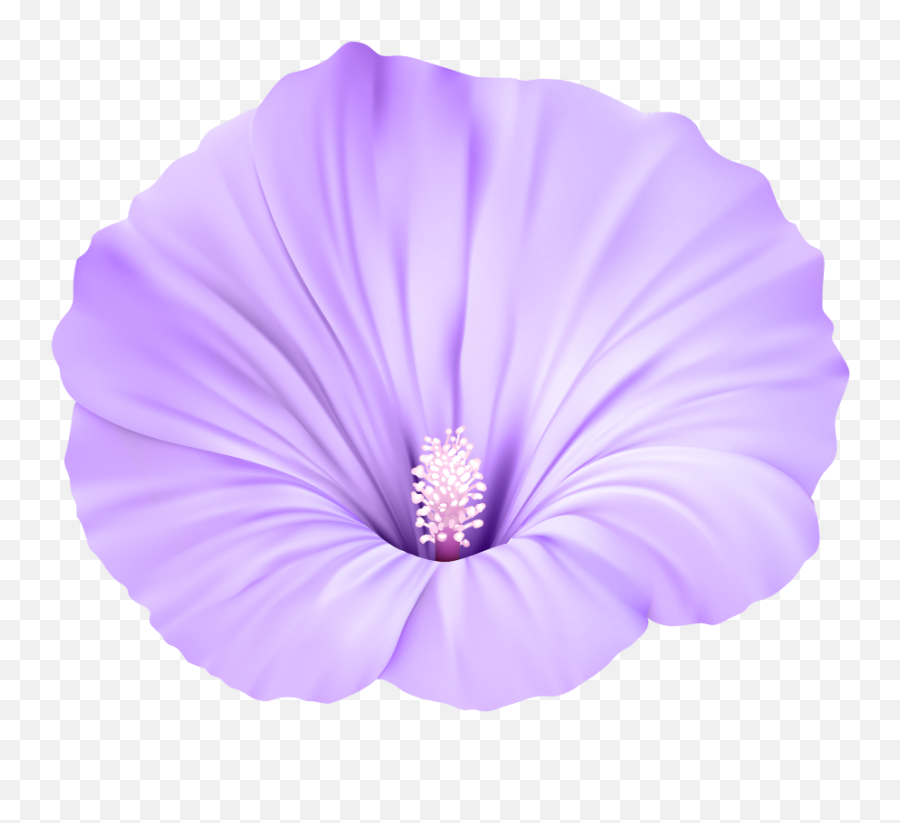 Download Violet Flower Png Images - Violet Flower Png Emoji,Purple Flower Transparent