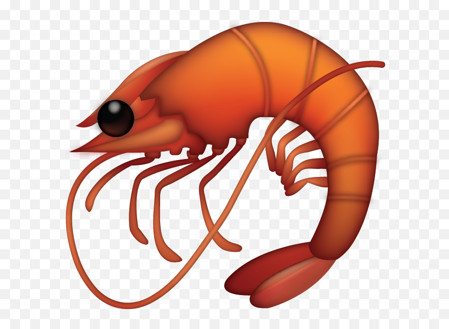 Shrimp Emoji Free Download Ios Emojis - Shrimp Emoji Png,Shrimp Png