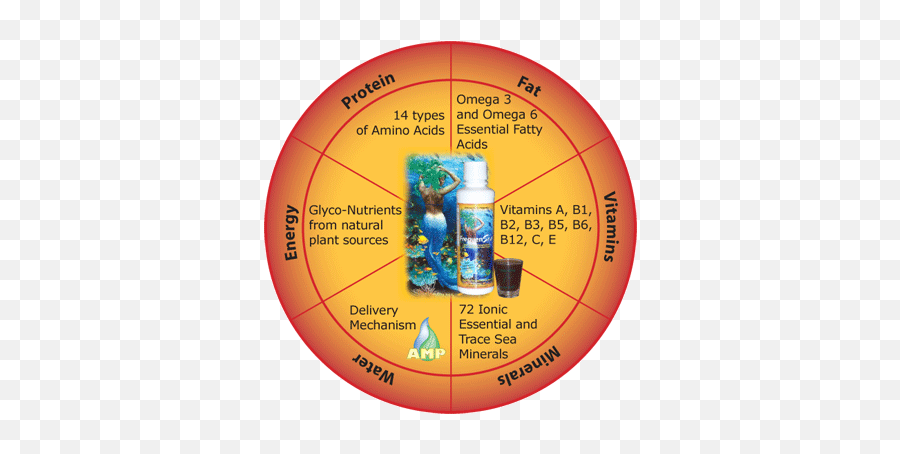 7 Components Of A Balanced Diet Pie Chart - Fanada Marine Phytoplankton Nutrition Copper Emoji,Nutrition Clipart