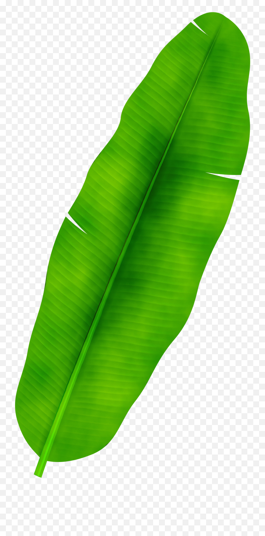 Banana Leaf Png - Banana Leaf Png Free Emoji,Tree Clipart