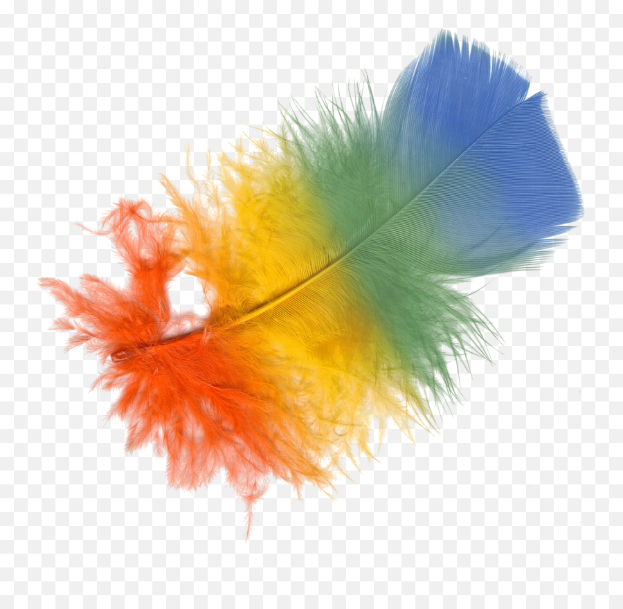 Color Feather Png Images Free - Colorful Feather Png Emoji,Feather Png