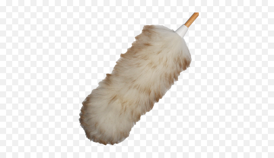 Feather Duster Define Emoji,Feather Duster Clipart