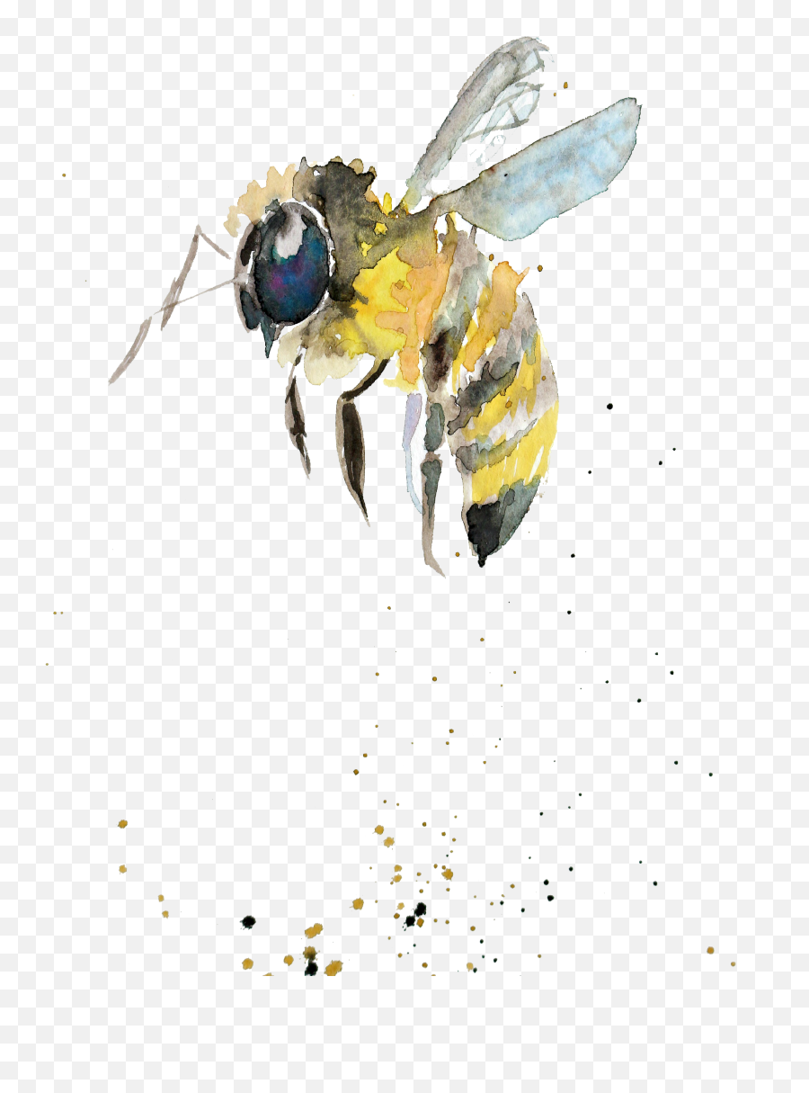 Bumblebee Watercolor Painting Drawing Insect Watercolor Gift Emoji,Presents Transparent Background