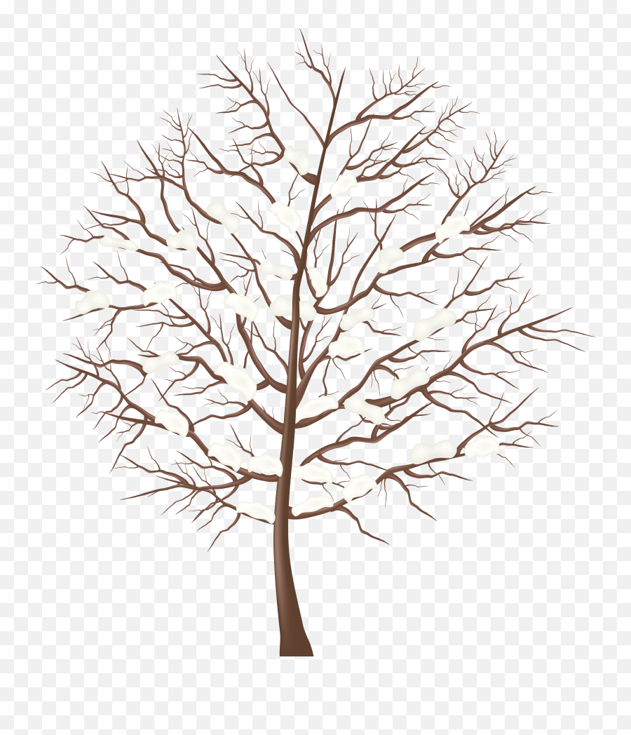 Free Bare Tree Png Download Free Clip - Transparent Background Winter Tree Clipart Emoji,Bare Tree Clipart