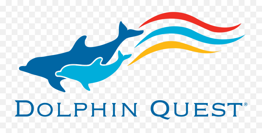 Dolphin Quest - Dolphin Quest Emoji,Dolphins Logo
