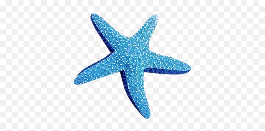 Starfish Blue Bluepng Bluepngs Png Sticker By Hana - Blue Starfish Png Emoji,Starfish Png