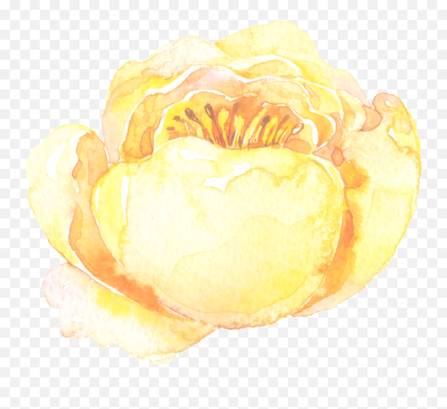 Ice Yellow Flower Transparent Decorative - Watercolor Paint Peony Emoji,Yellow Flower Transparent