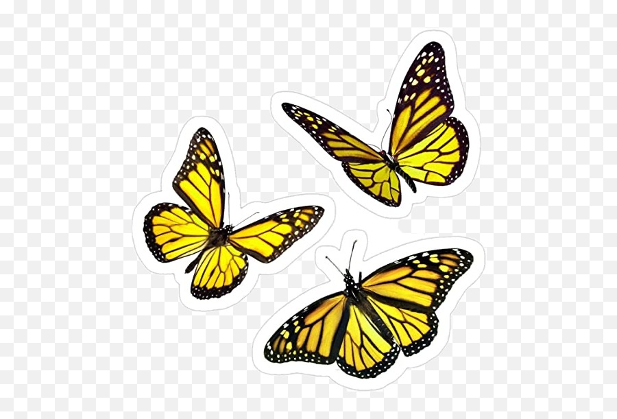 Yellowbutterfly Yellow Sticker By Emoji,Yellow Butterfly Png