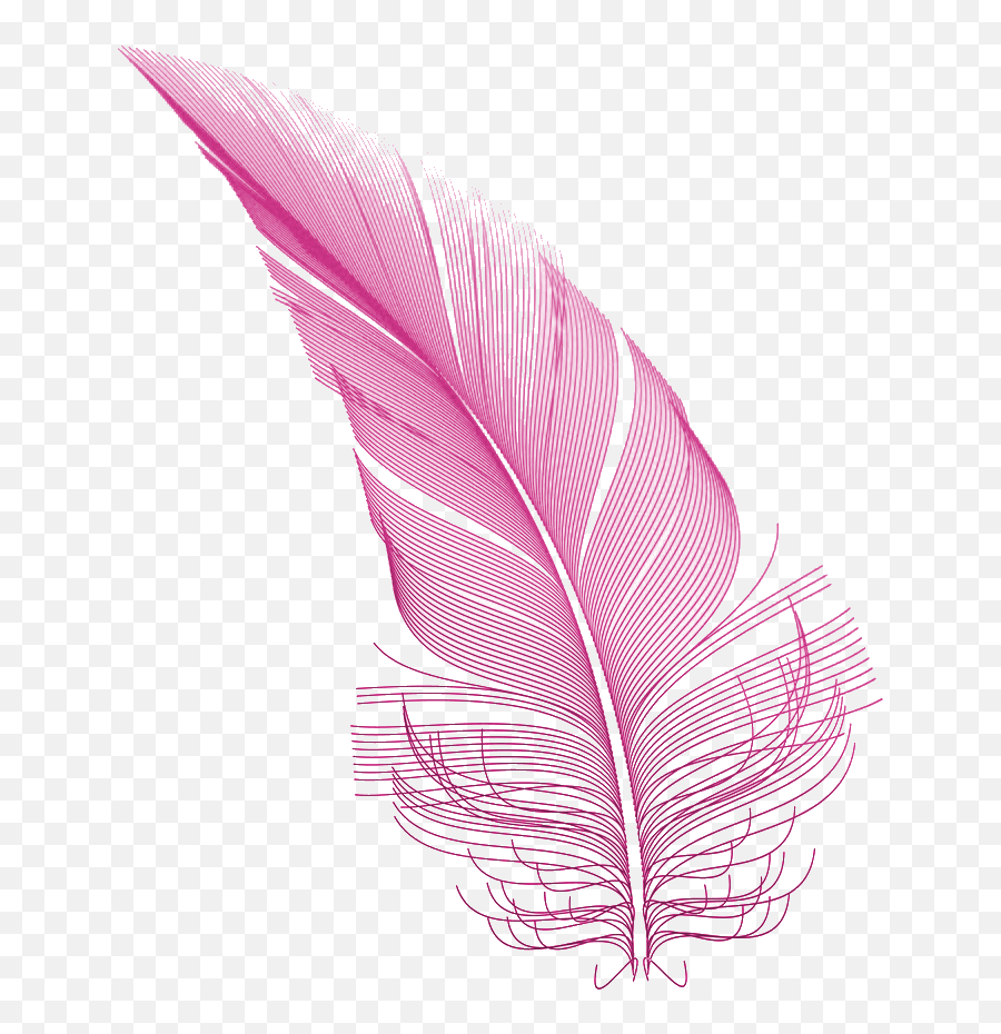 Pink Feather Png Hd Png Mart - Pink Feather Png Emoji,Feather Png