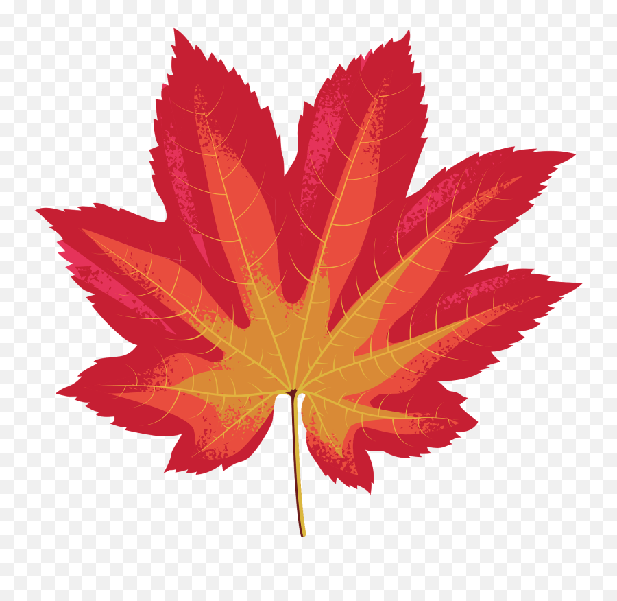 Vine Maple Red Leaf Clipart Free Download Transparent Png - Vine Maple Leaf In Autumn Emoji,Maple Leaf Clipart
