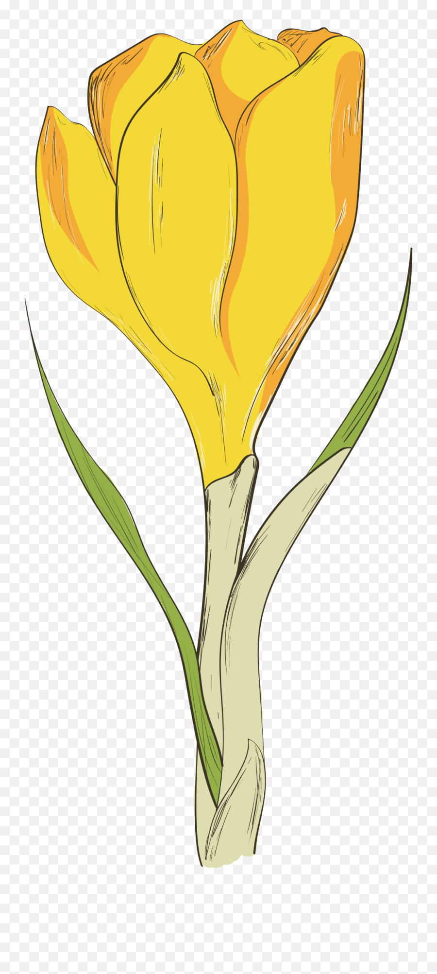 Download Yellow Flower Transparent Flower To Be Placed - Crocus Emoji,Yellow Flower Transparent