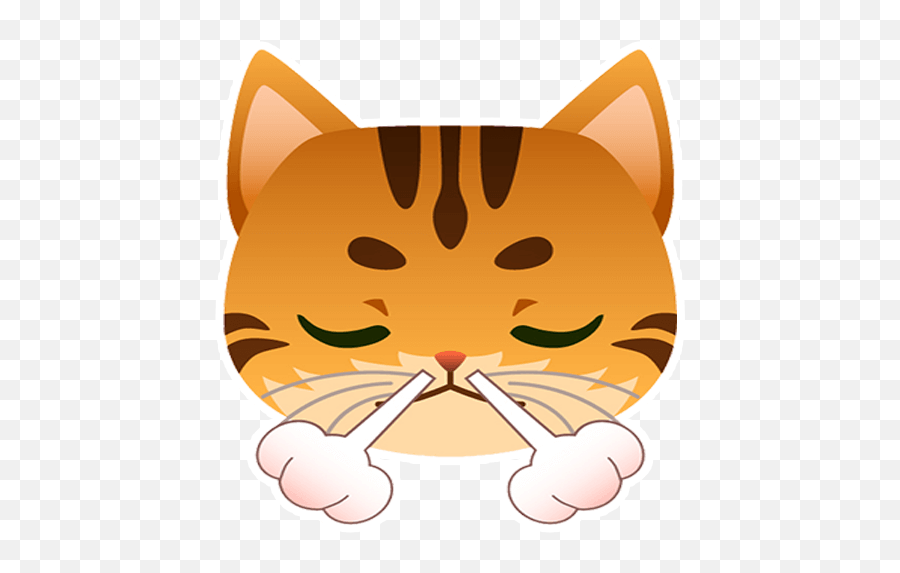Cat Pack 1 By Marcossoft - Sticker Maker For Whatsapp Emoji,Cat Face Transparent