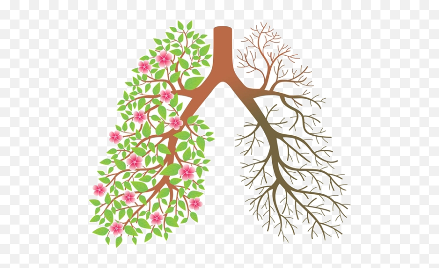 Lungs Clipart Lung Smoker Picture 1581558 Lungs Clipart - Smoke Lungs Transparent Background Emoji,Lungs Clipart