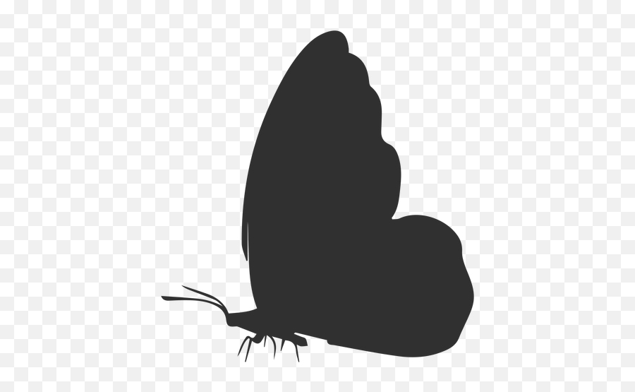 Butterfly Side View Silhouette - Transparent Png U0026 Svg Butterfly Silhouette Side Emoji,Butterfly Silhouette Png
