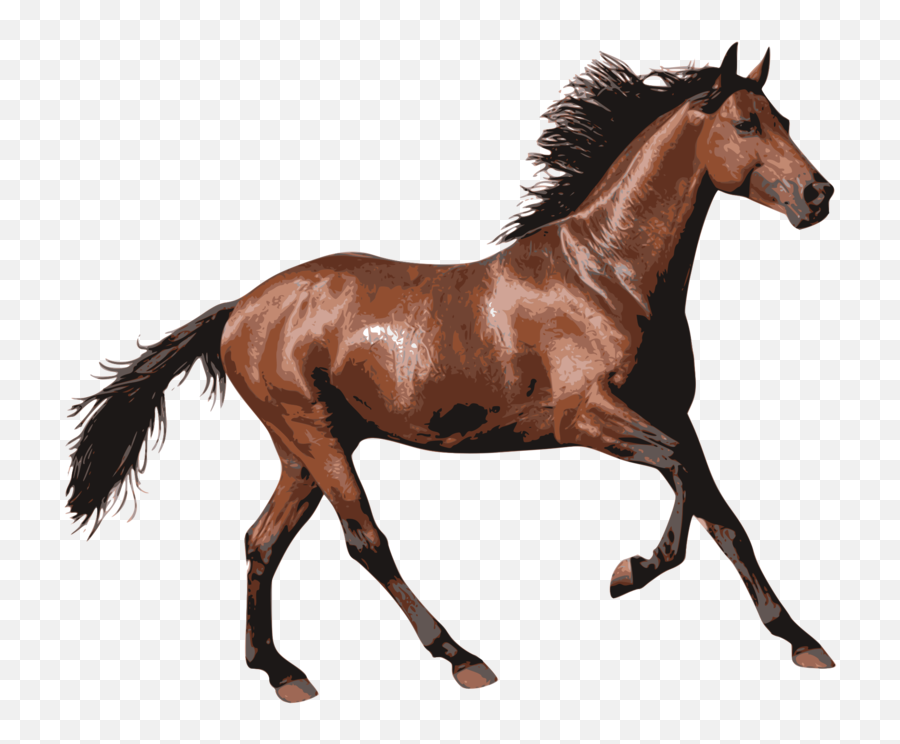 Running Brown Horse Png Download Image - Horse Transparent Emoji,Horse Png