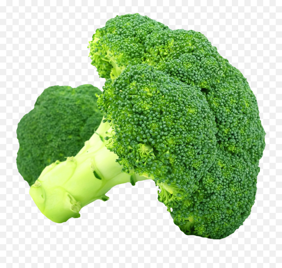 Broccoli Png Transparent Image Emoji,Broccoli Png