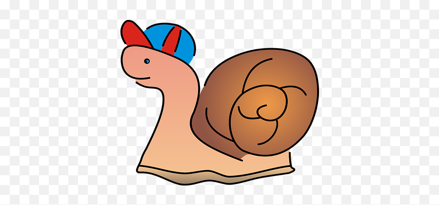 200 Free Snail U0026 Shell Illustrations - Pixabay Seashell Emoji,Playdough Clipart