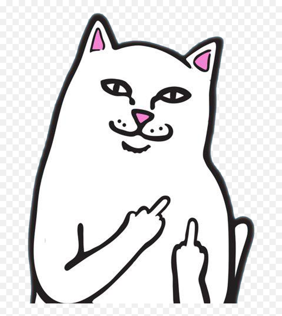 Rip N Dip Ripndip Wallpaper - Cat With Middle Finger Transparent Emoji,Ripndip Logo