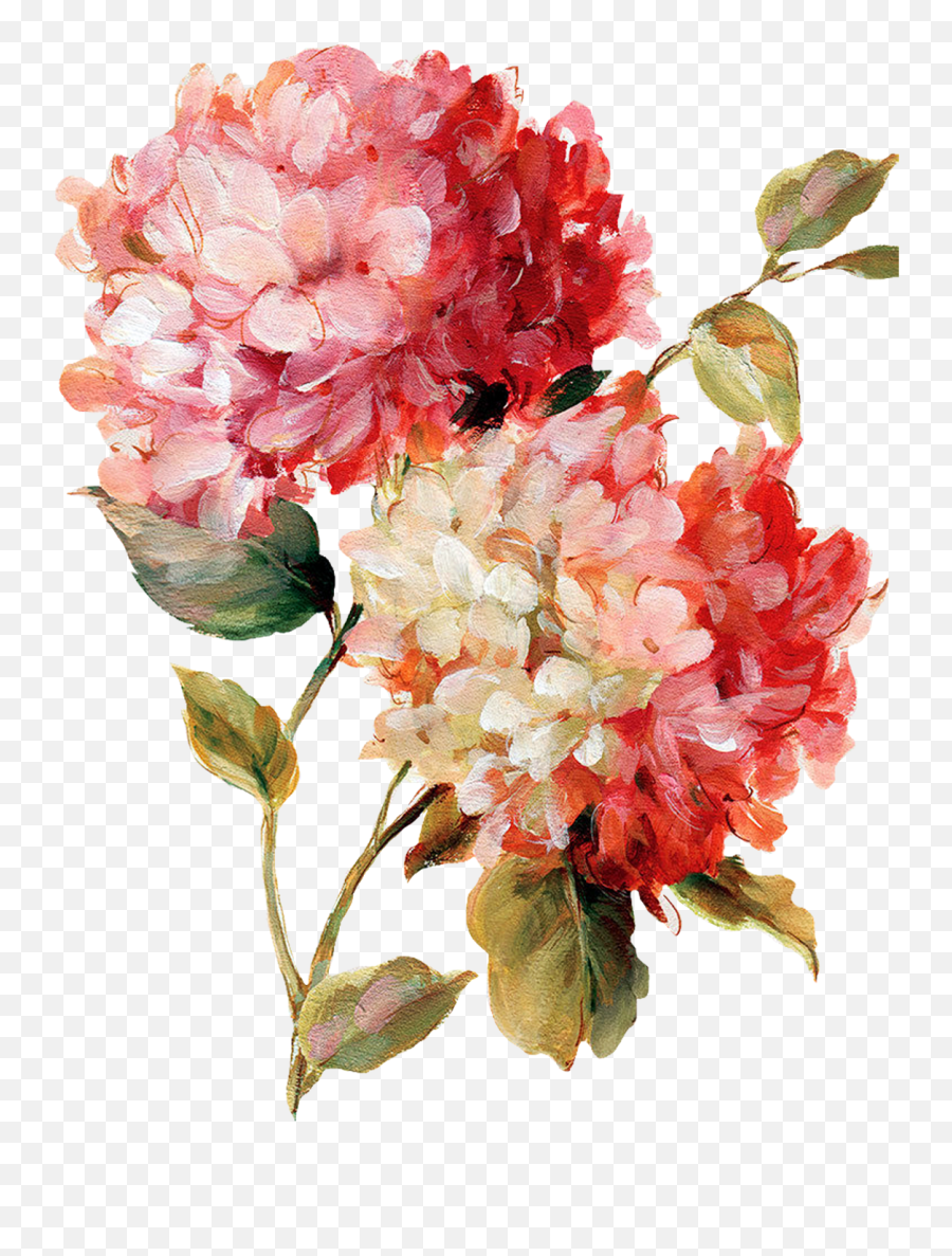 Transparent Floral Png - Watercolors Flower Painting Png Flower Water Painting Png Emoji,Floral Png