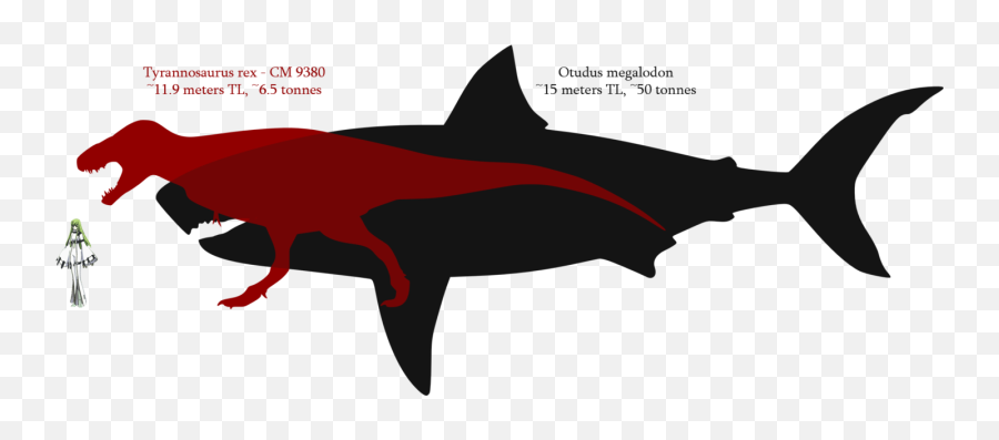 Shark Tooth Megalodon Tyrannosaurus Great White Shark Emoji,Shark Tooth Clipart
