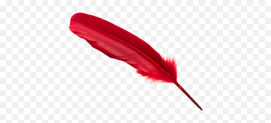 Download White Feather Png Download - Red Colour Feathers Animal Product Emoji,Feather Png