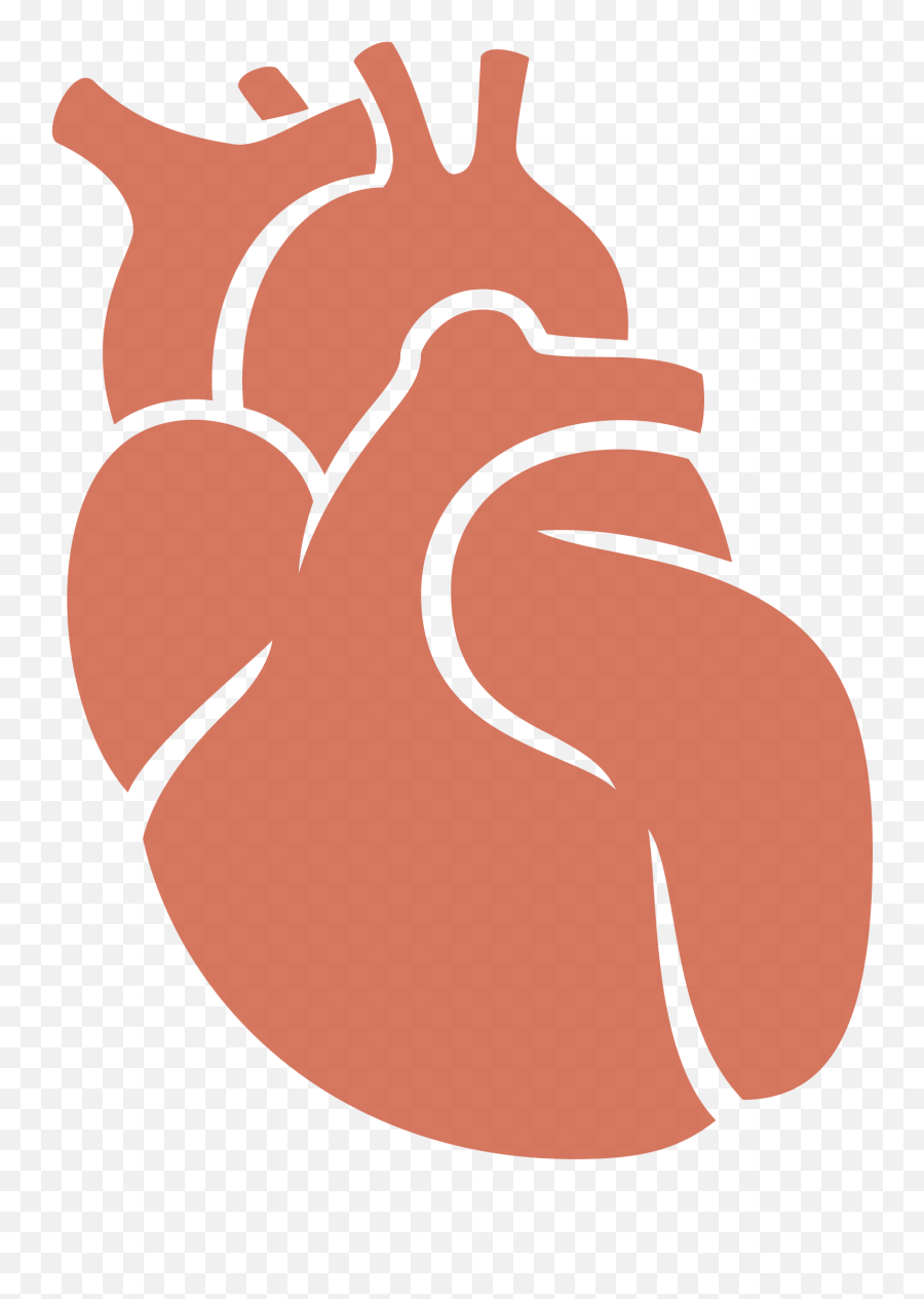 Download Hd Vector Download Body Tissue Clipart - Donacion Donation Of Organs Png Emoji,Body Clipart