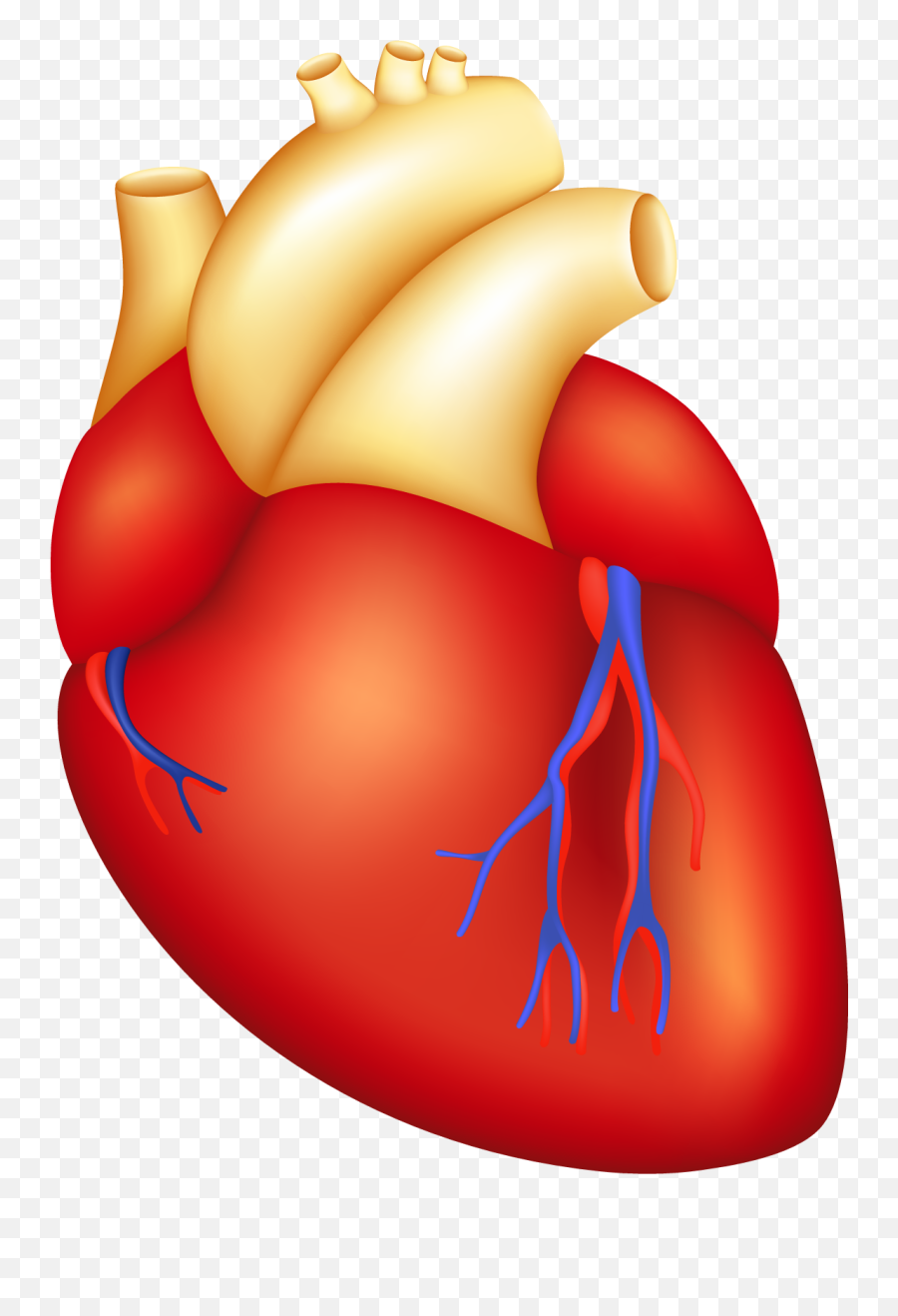 Cartoon Human Heart - Clip Art Heart Surgery Emoji,Human Heart Clipart
