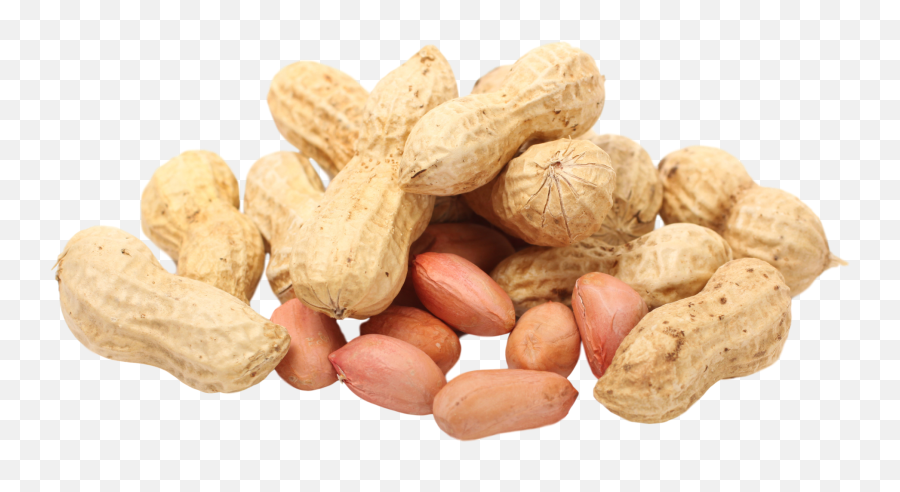 Peanut Png Images Transparent - Peanuts Clear Background Emoji,Nut Png