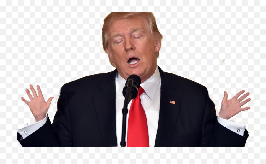 Donald Trump Png Image - Trump Hd Png Emoji,Trump Png