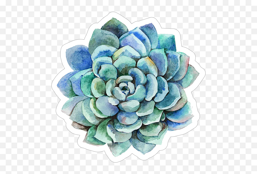 Blue Watercolor Succulent Sticker Emoji,Succulents Clipart