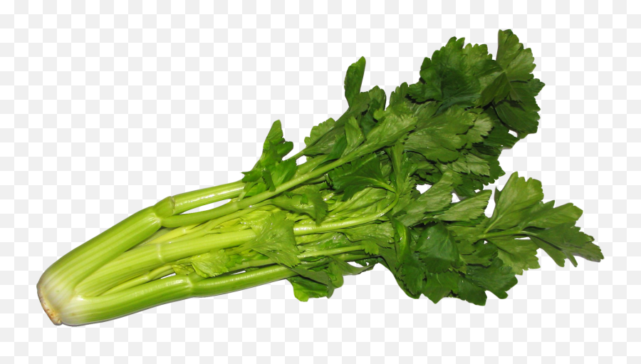 Celery Png Image For Free Download Emoji,Celery Clipart Black And White
