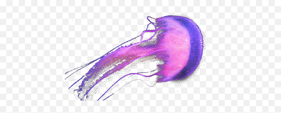 Affordable Transparent Jellyfish Gif - Transparent Jellyfish Gif Emoji,Jellyfish Transparent Background