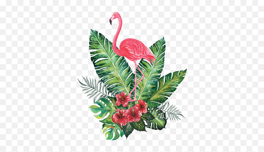 Flamingo Tropical Png Png Image With No - Flamingo Png Emoji,Tropical Png