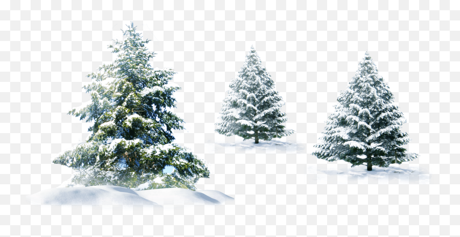 Christmas Tree Snow Fir - Tree Transparent Background Png Mesh Snow Free Winter Clipart Emoji,Christmas Transparent Background