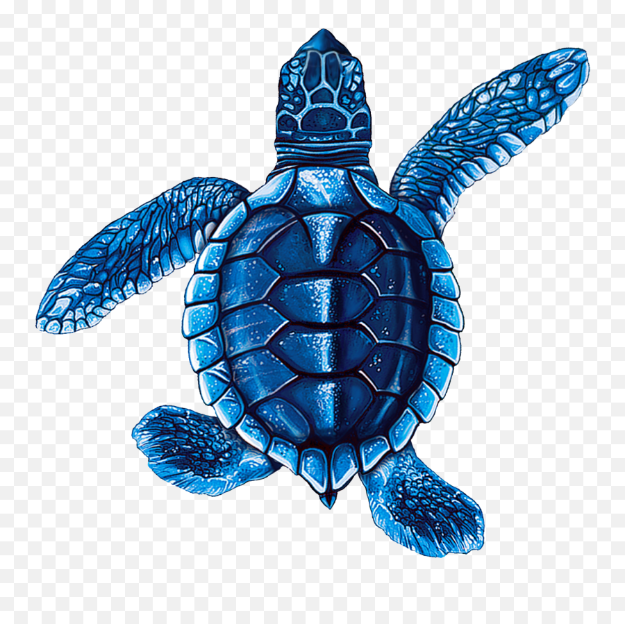 Porcelain Baby Blue Turtle Mosaic - Turtle Blue Emoji,Turtle Transparent