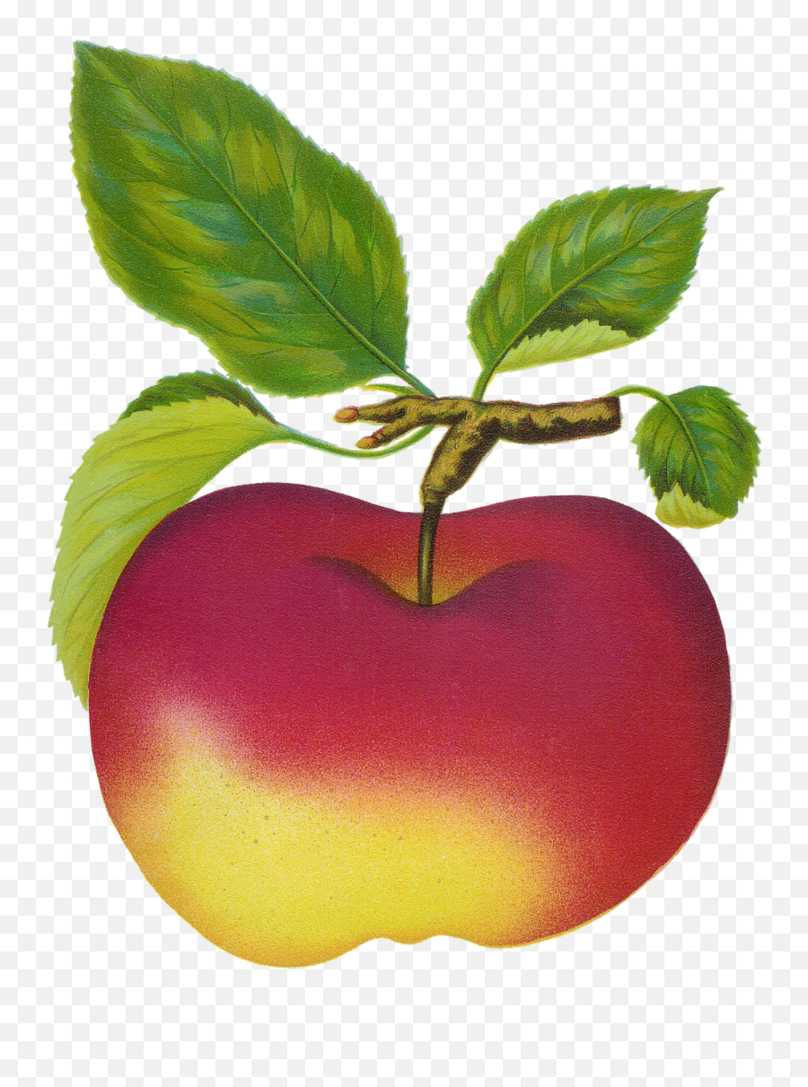 Download Free Mac Cliparts Png Images - Macintosh Apple Clip Art Emoji,Clipart For Macintosh