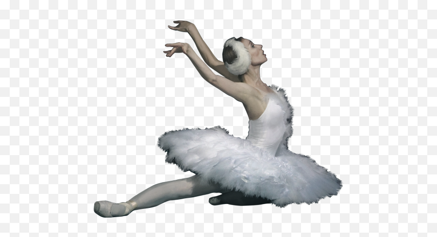 Iperm Opera Ballet Editing - Swan Lake Ballet Png Emoji,Lake Png