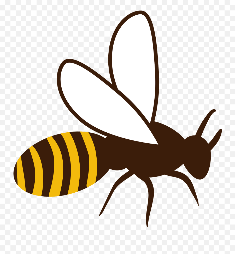 Honey Bee Clipart Free Download Transparent Png Creazilla - Parasitism Emoji,Bee Clipart