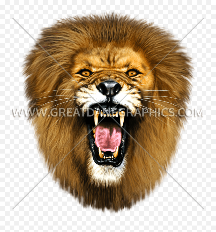 Lion Head Png - Roar Lion Head Png Transparent Cartoon Hd Image Of Roaring Lion Emoji,Lion Head Clipart